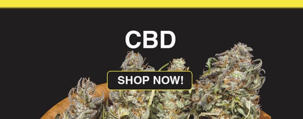 CBD