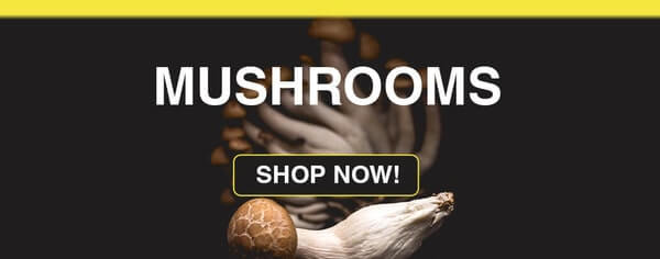 Mushrooms