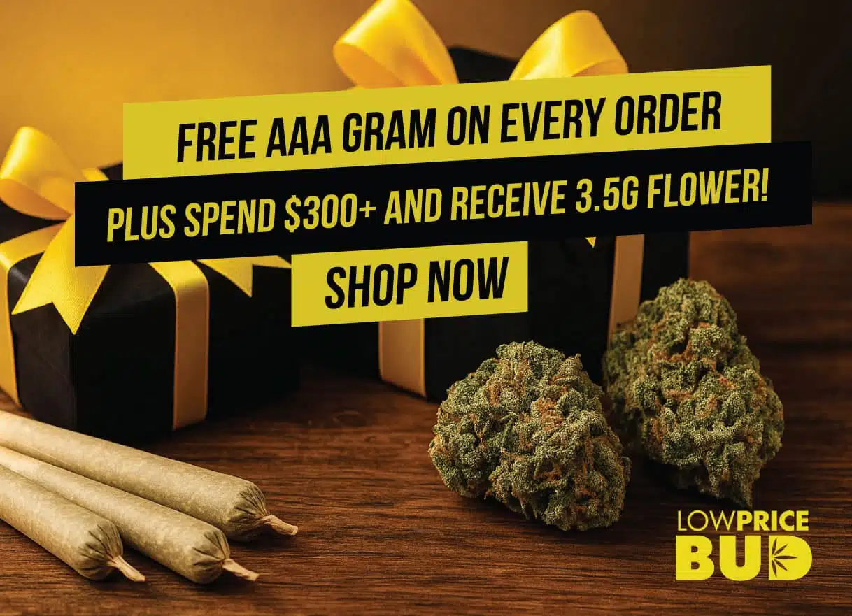Free gift with order