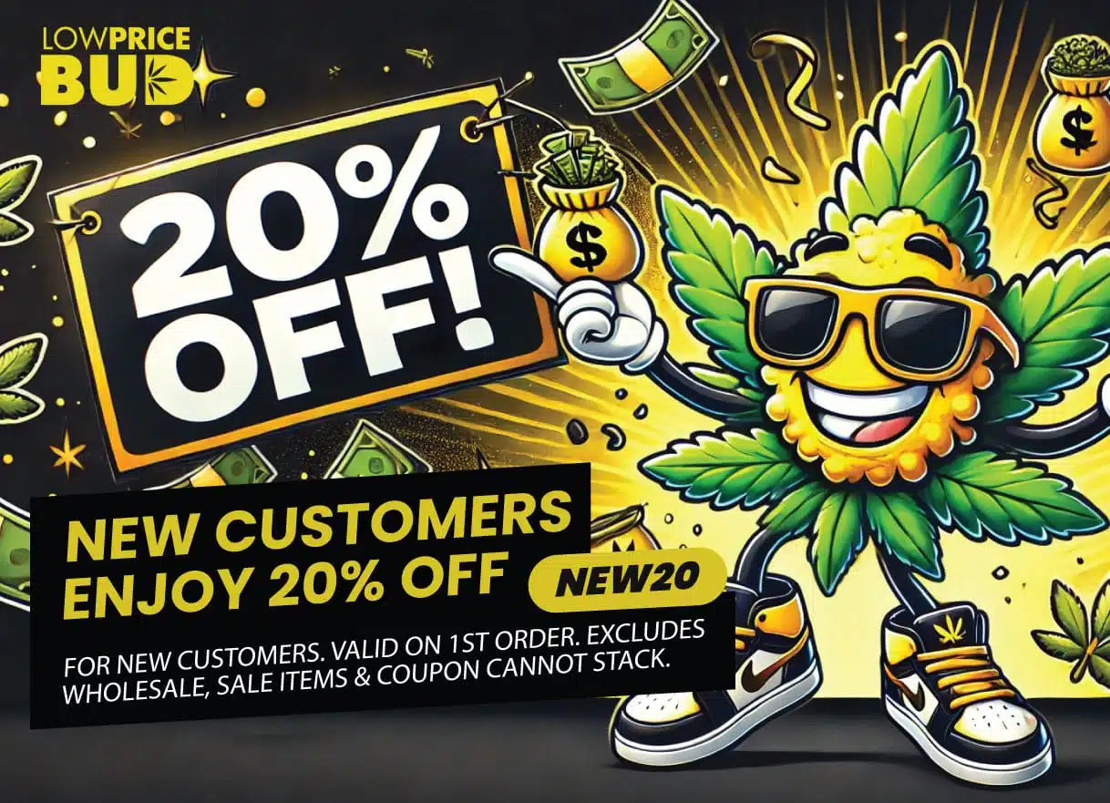 New customer offer