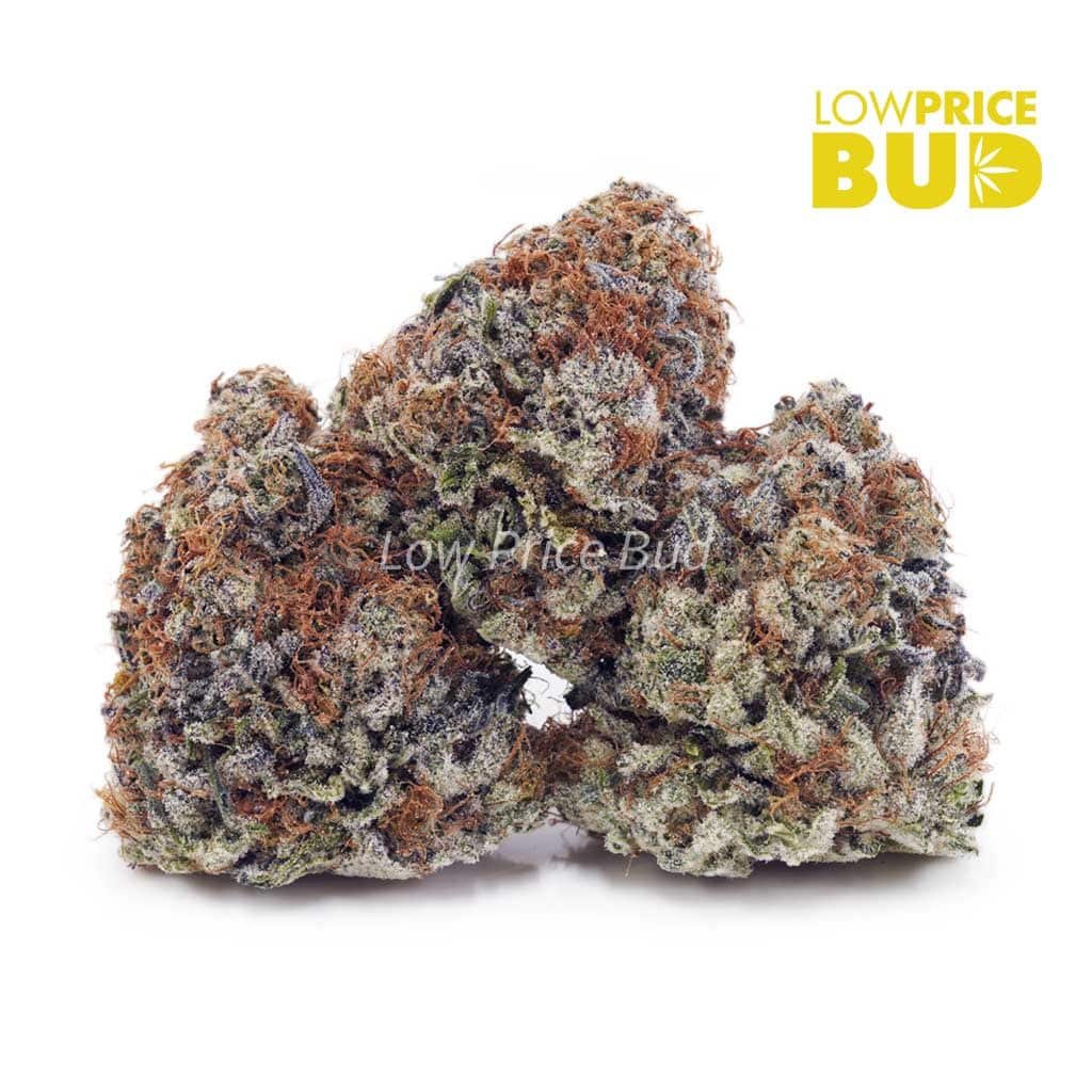 watermelon-kush-aaaa