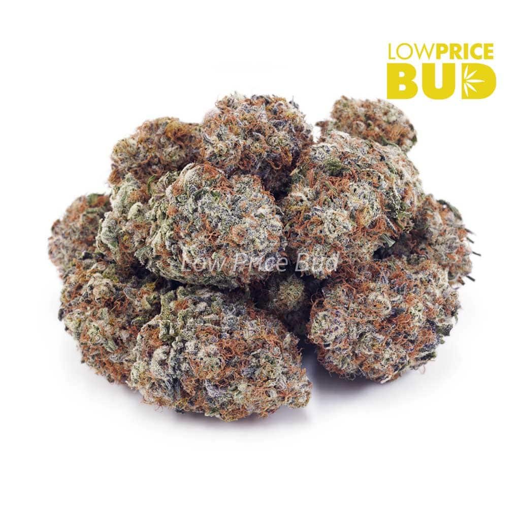 watermelon-kush-aaaa - Image 2