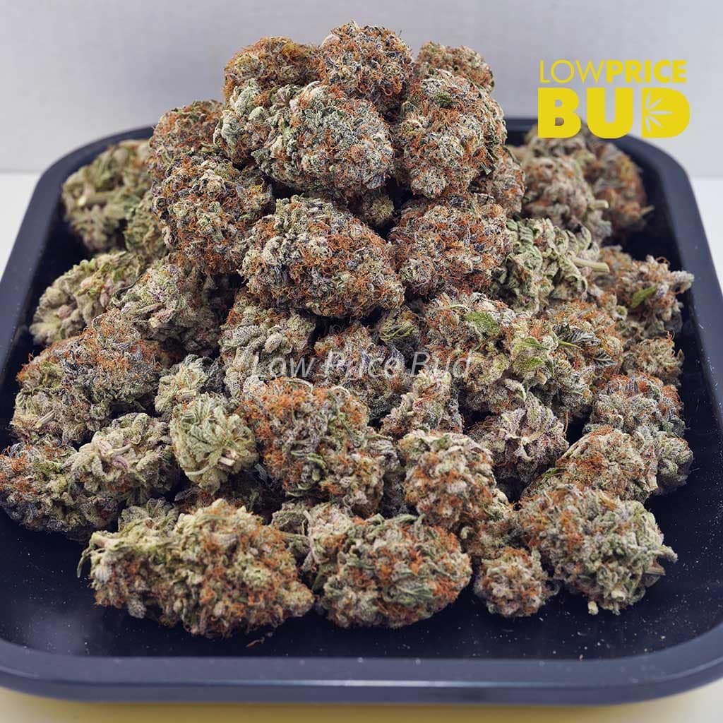 watermelon-kush-aaaa - Image 3
