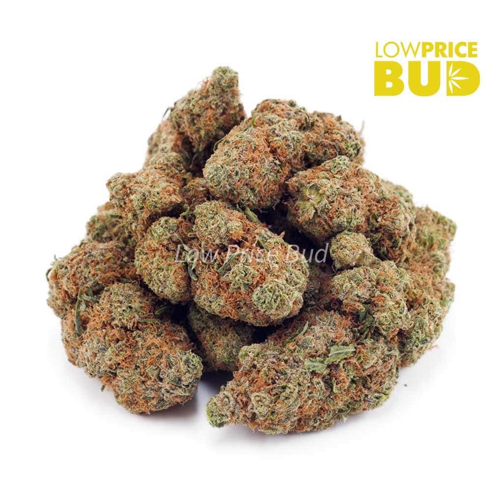 wagyu-og-aaa - Image 2
