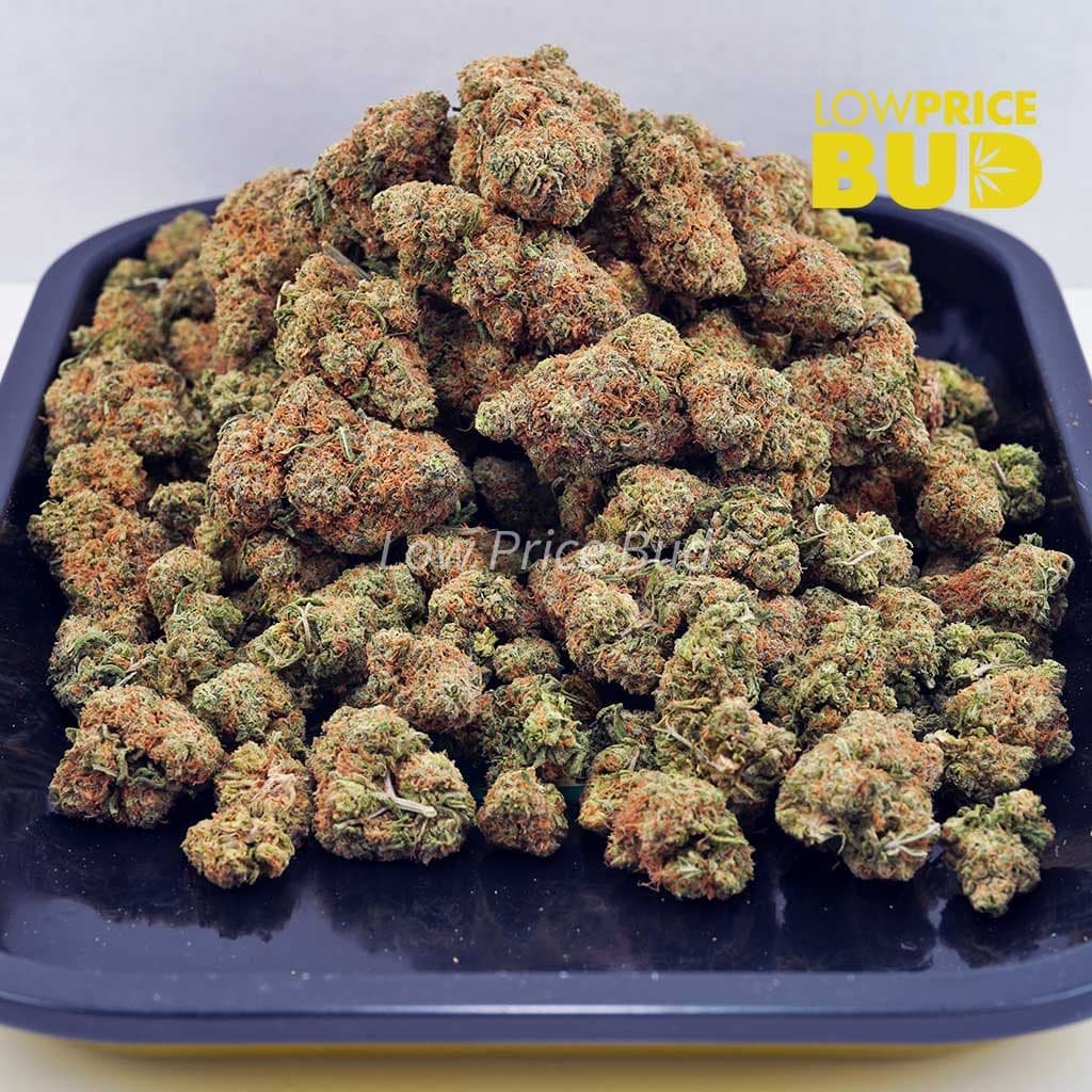 wagyu-og-aaa - Image 3