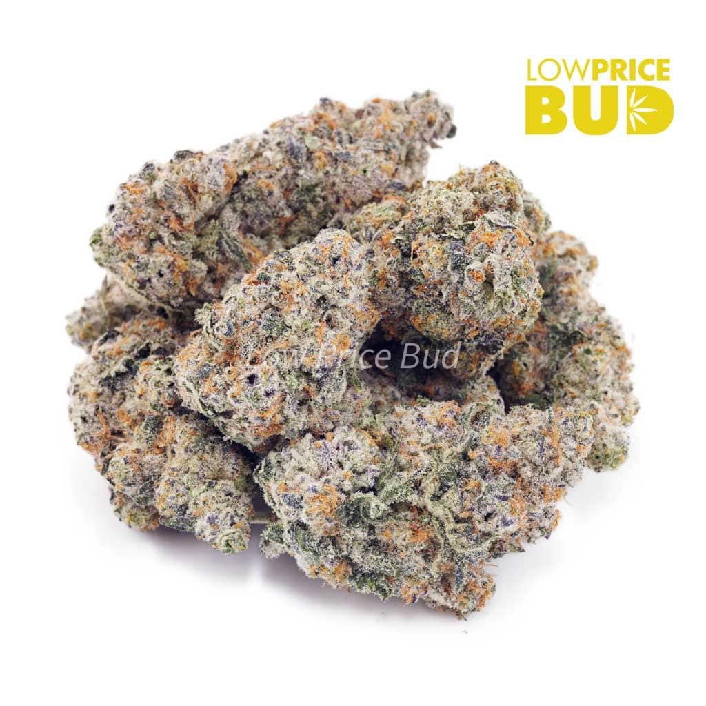 white-fire-og-aaaa - Image 2