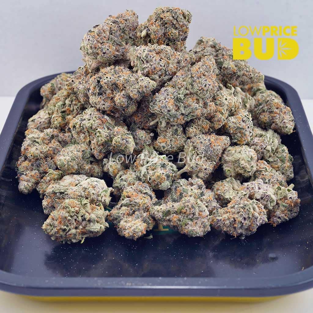 white-fire-og-aaaa - Image 3