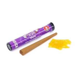 sesh-shatter-blunts-indica