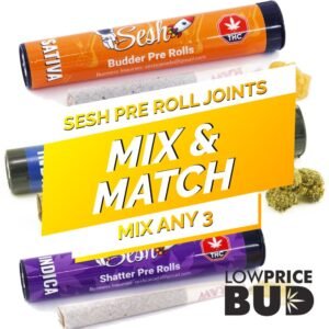 sesh-joints-mix-and-match-3-pack
