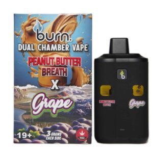 burn-extracts-dual-chamber-disposable-vape-peanut-butter-breath-grape-33-gram